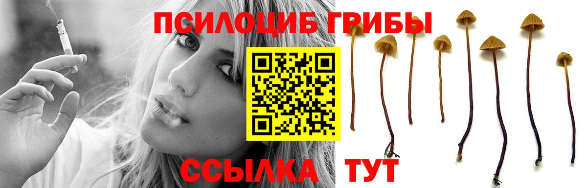 Галлюциногенные грибы MAGIC MUSHROOMS Магадан